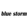 BlueStorm - купить по доступной цене Интернет-магазине Наутилус